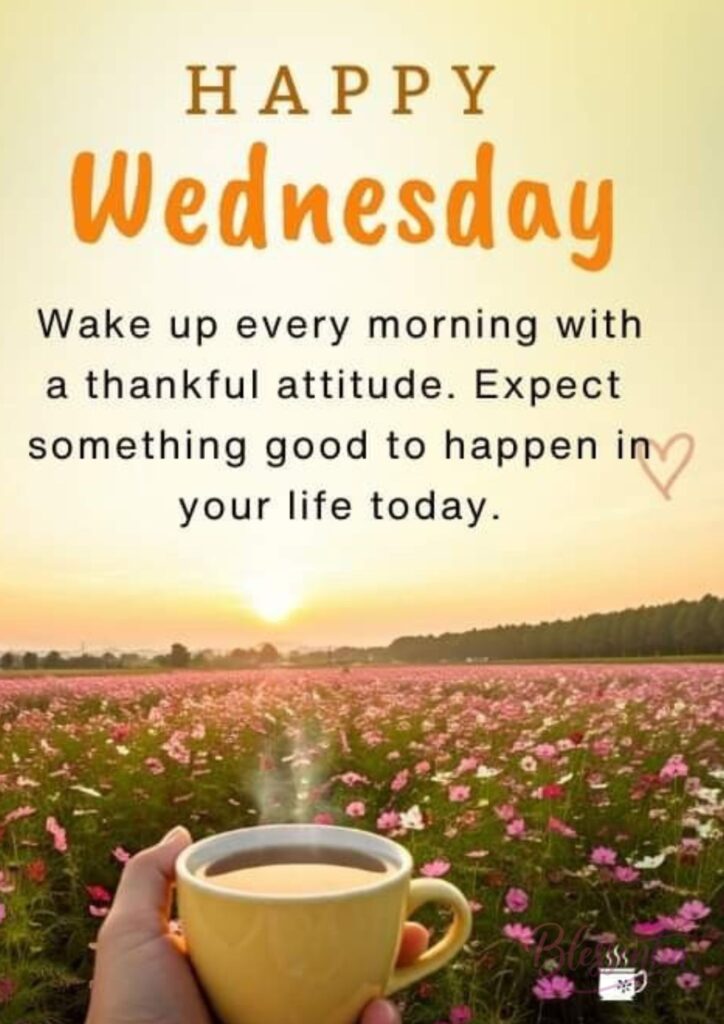 beautiful-wednesday 