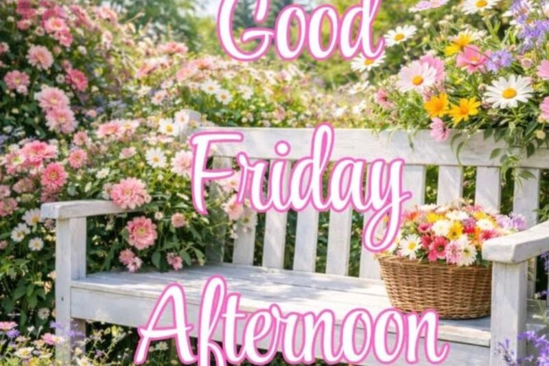 230+ Friday Afternoon Blessings, Prayers, Quotes & Images to Brighten Your Day