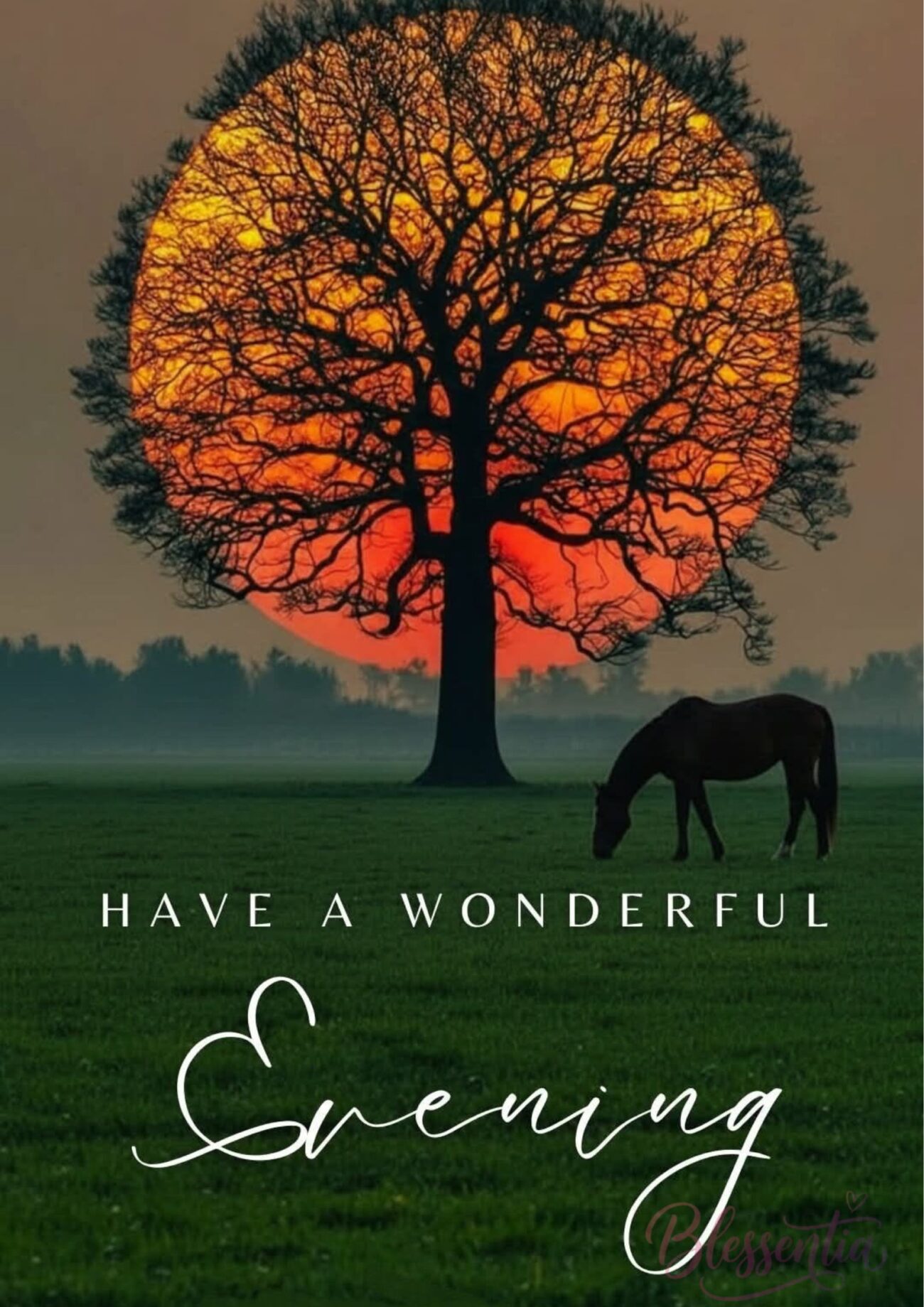 good-evening-quotes