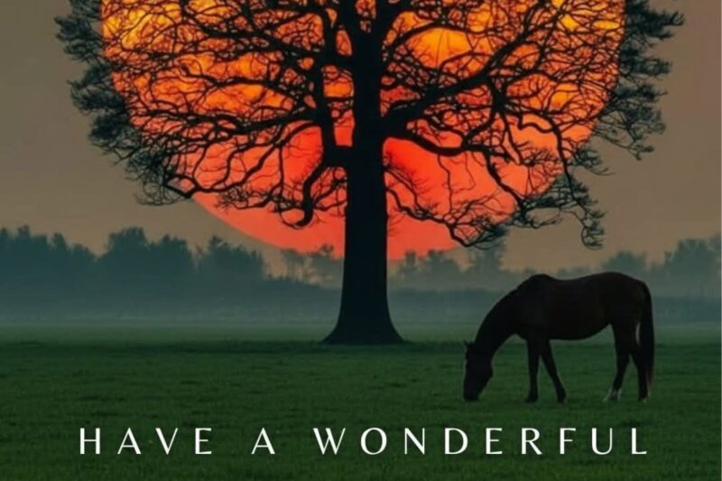 150+ Good Evening Quotes, Wishes, Messages & Blessings to End Your Day Positively