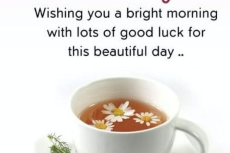 110+ Beautiful Good Morning Friday Blessings to Inspire Your Day