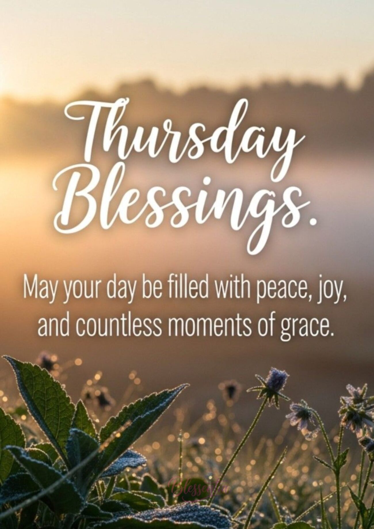good-morning-thankful