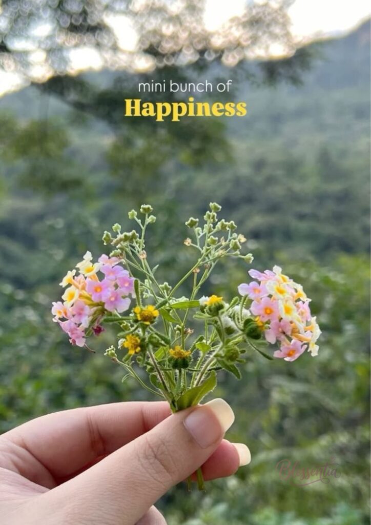 one-word-flower