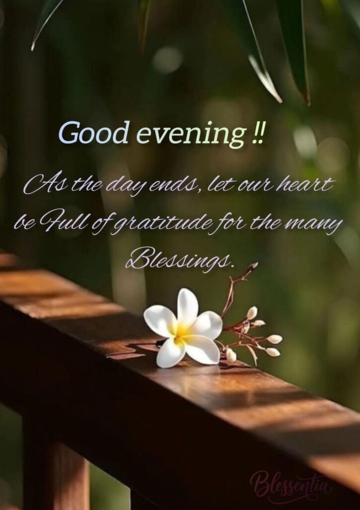 best-good-evening