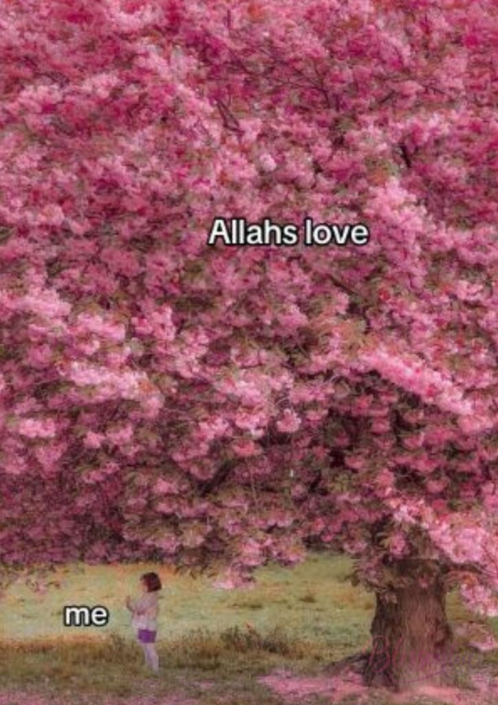 complete-salatul-hajat