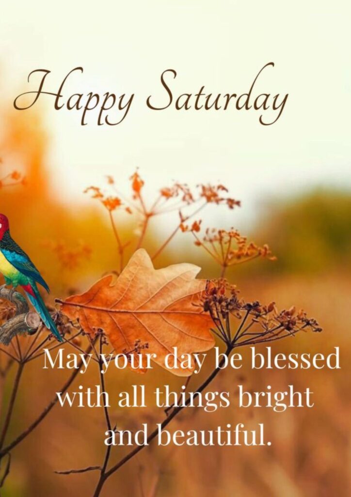 happy-saturday-blessings 