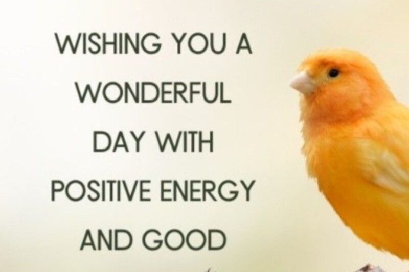 250+ Happy Wednesday Blessings: Prayers, Quotes, Wishes & Inspirational Messages