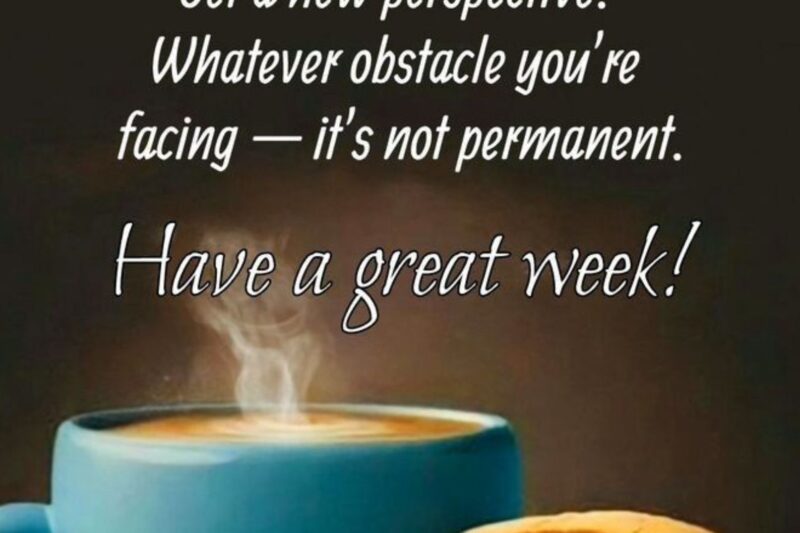 150+ Monday Motivation Quotes to Start Your Week with Positivity, Success & Confidence (2026)