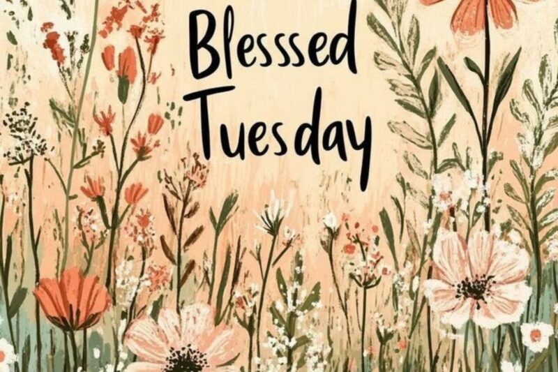 120+ Tuesday Blessings Images, Quotes, Prayers & Good Morning Wishes