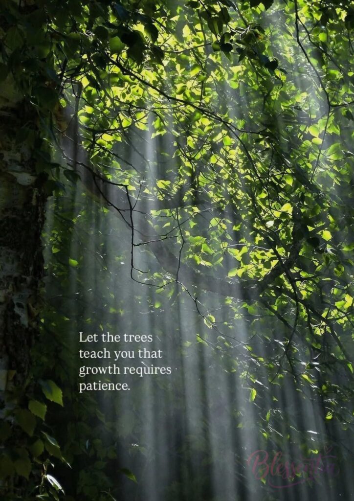 world-environment-day