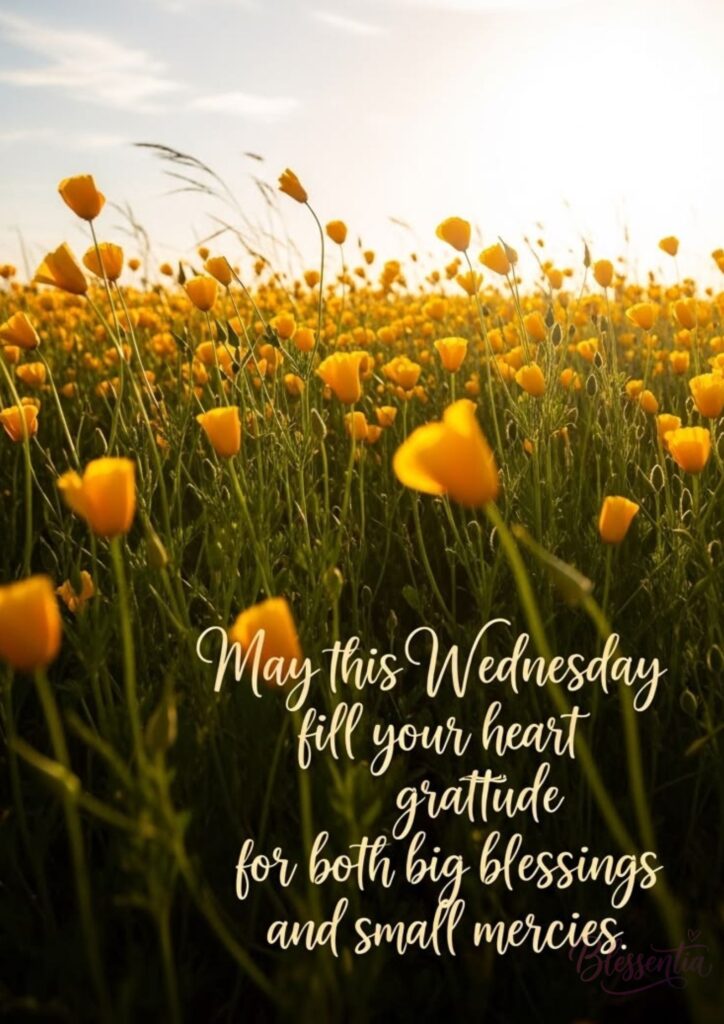 blessings-and-wishes
