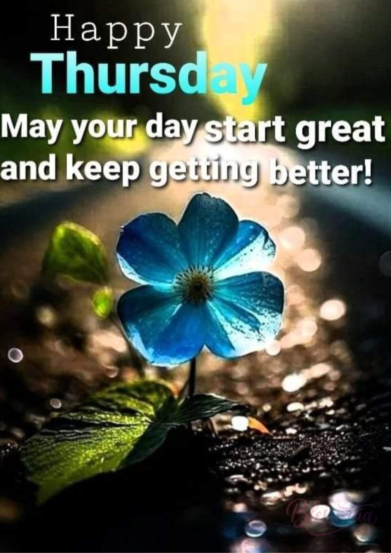 thursday-quotes