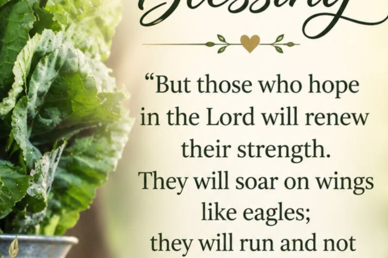100+ Wednesday Bible Verses for Strength, Faith, Blessings & Midweek Encouragement